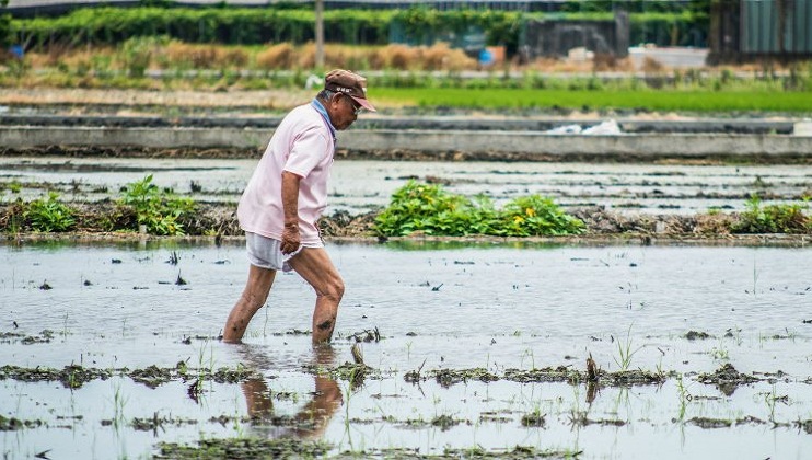 107 Nobel Laureates just signed a letter slamming Greenpeace over GMOs