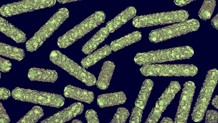 Scientists have figured out how to use Bacteria as living Hard Drives